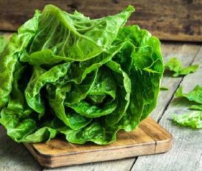 معرفی ۱۰ جایگزین سالم برای نان