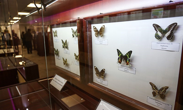 موزه حشرات باغ گیاه شناسی تهران