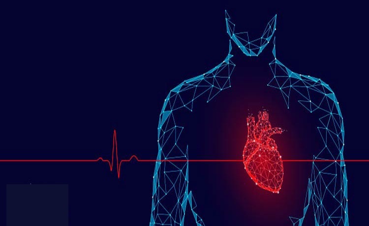منظور از ضربان قلب چیست و چگونه کار می‌کند؟ (سیب)