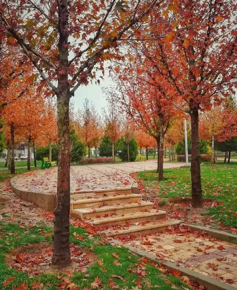 پارک بزین شیراز 