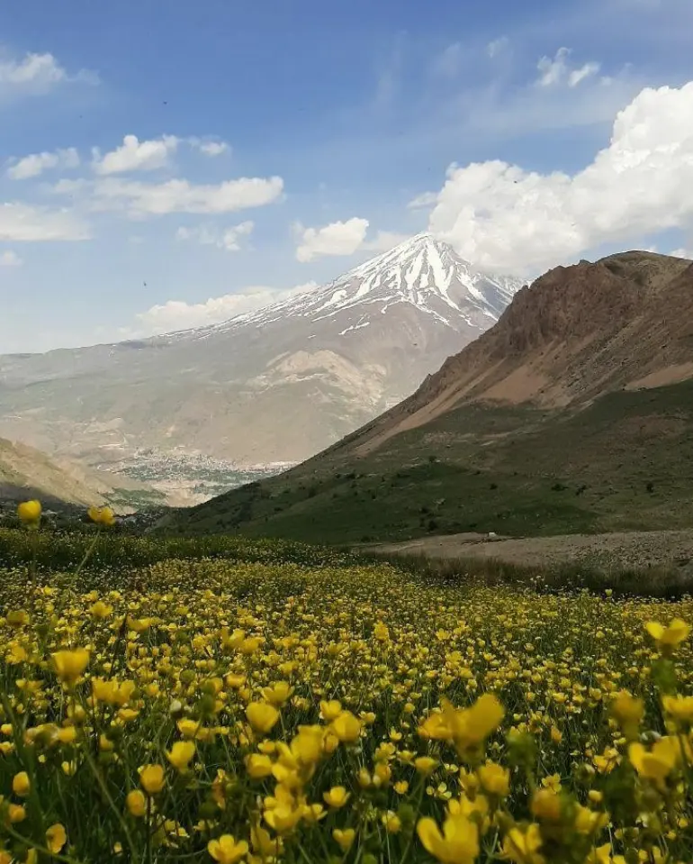 فاصله دشت آزو از تهران