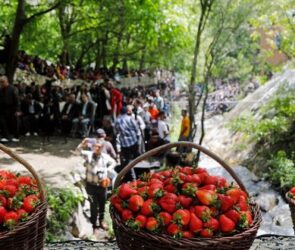 امسال ۵۰۰ روستابازار راه‌اندازی می‌شود