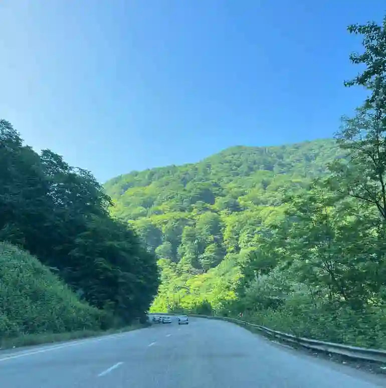 جنگل جوارم مازندران