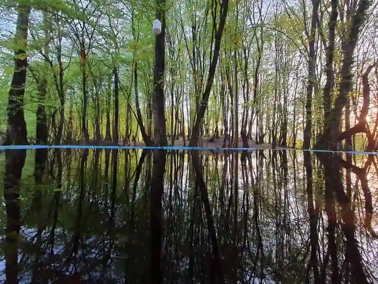 پارک جنگلی جوارم سوادکوه