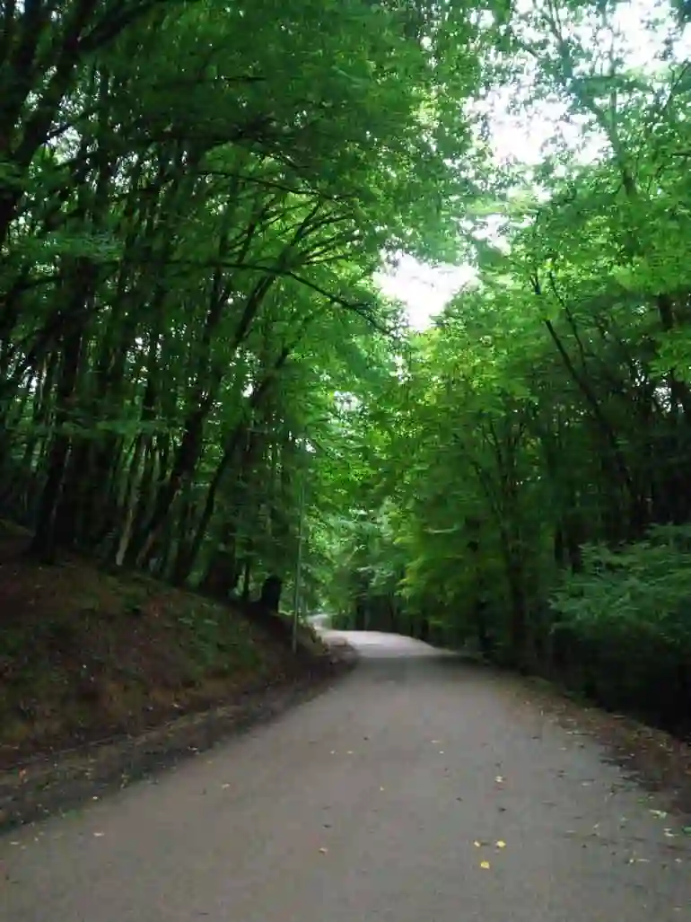 پارک جنگلی جوارم مازندران