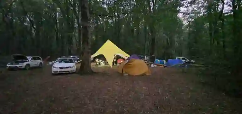 پارک جنگلی جوارم 