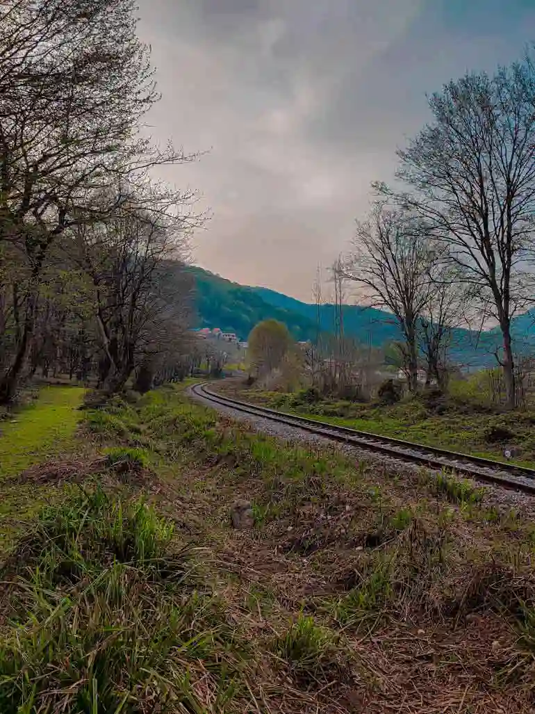 جنگل جوارم سوادکوه