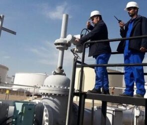 دستیار معاون علمی خبر داد/افزایش ۶ برابری شرکت های دانش بنیان نفتی