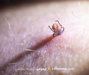 بیماری لایم