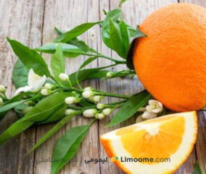 خواص نارنج