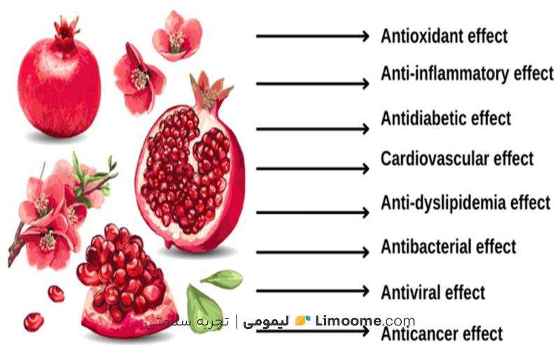 خواص پوست انار