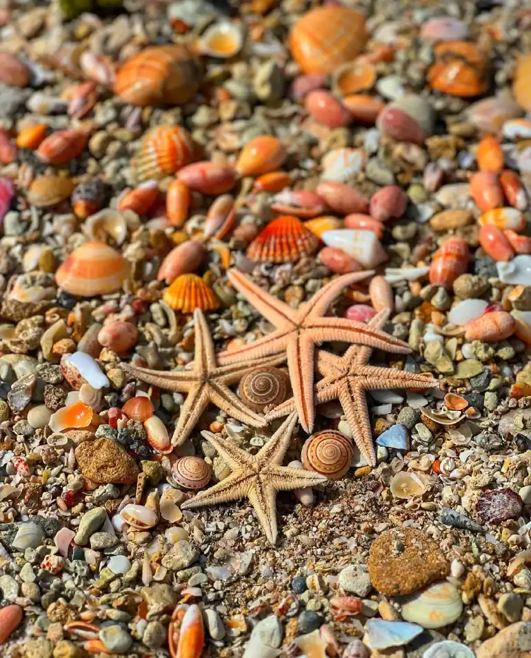 ساحل بندر تبن پارسیان