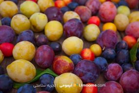 خواص آلو چیست