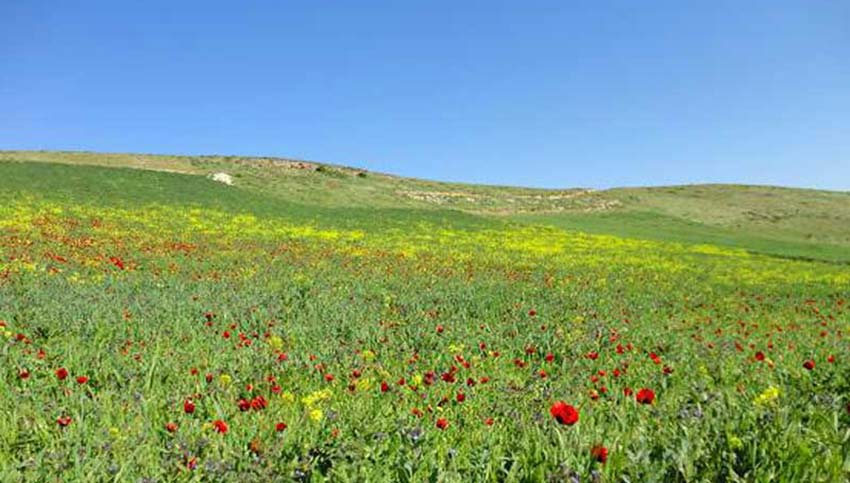 راهنمای سفر به سرعین؛ گرمترین شهر سرد ایران 76 دره جنگلی ایردموسی در جاهای دیدنی سرعین