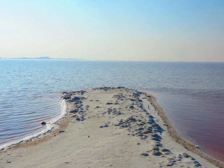 پوشش گیاهی و جانوری دریاچه ارومیه