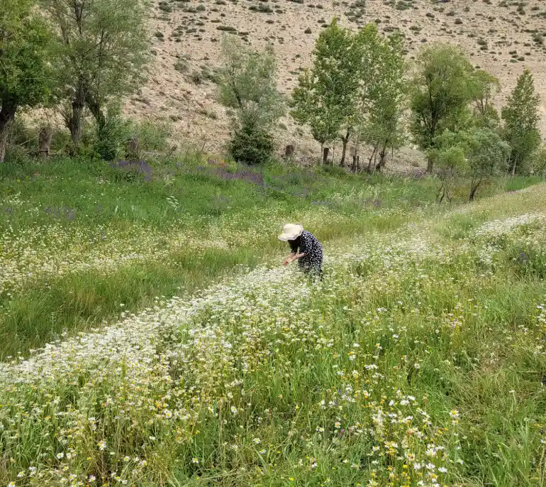 آب‌‌و‌هوای خلخال 