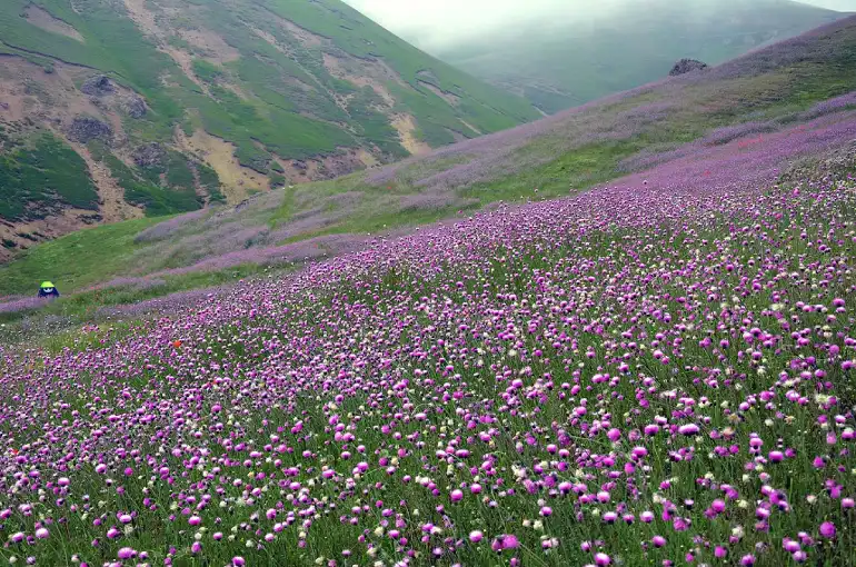 بهترین زمان سفر به خلخال 