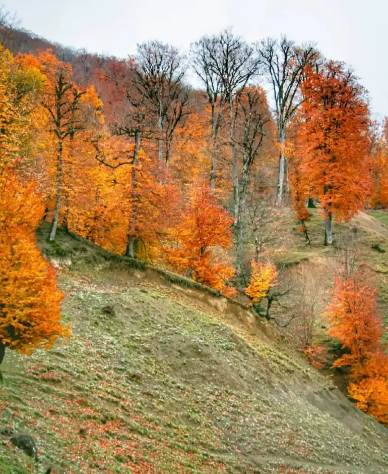 بهترین زمان سفر به خلخال 