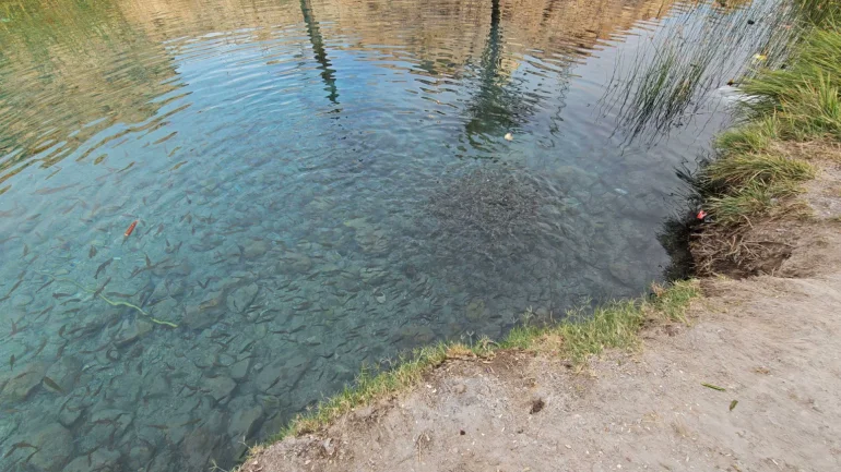 بهترین زمان بازدید از چشمه سبزپوشان