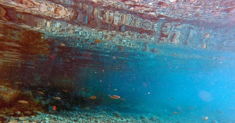 چشمه سبزپوشان هرمزگان