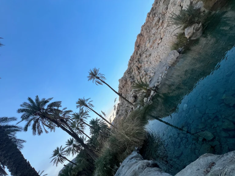 پوشش گیاهی و جانوری چشمه سبزپوشان