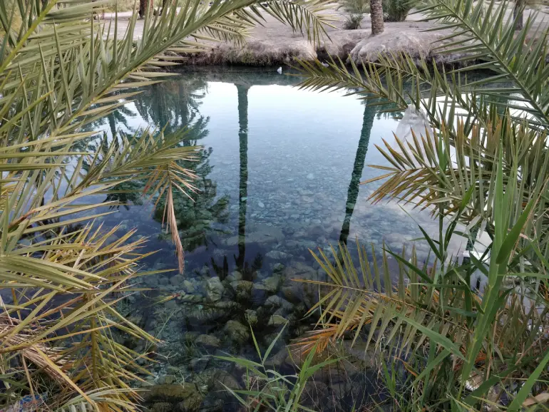 چشمه سبزپوشان