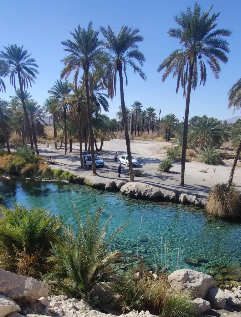  چشمه سبزپوشان 