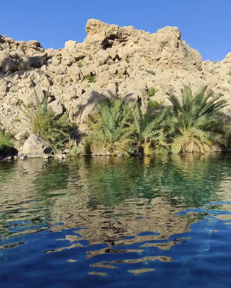 امکانات تفریحی چشمه سبزپوشان