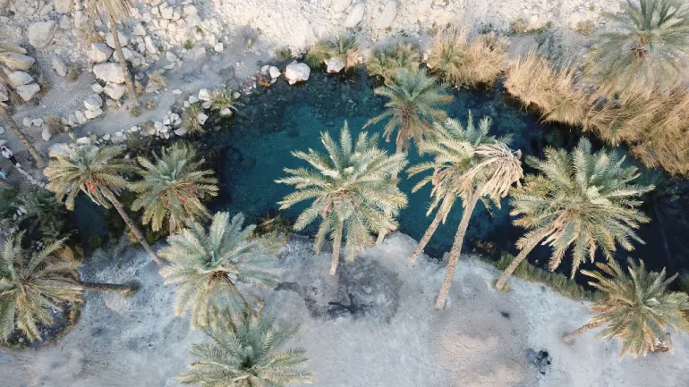  چشمه سبزپوشان 