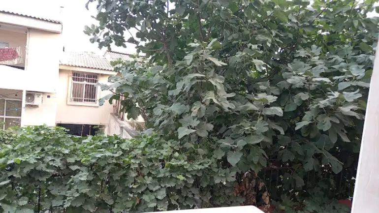 هتل آپارتمان اطلس گرگان