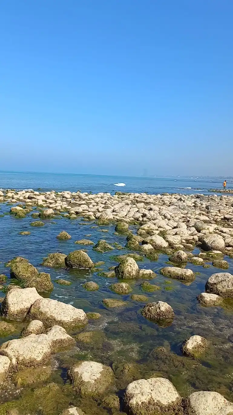 ساحل سیسنگان