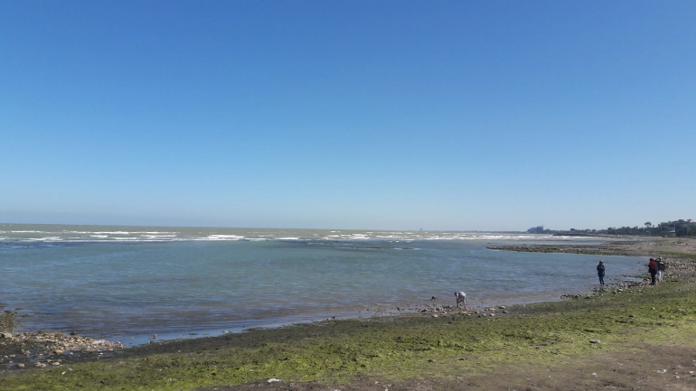 طبیعت‌گردی و پیاده‌روی