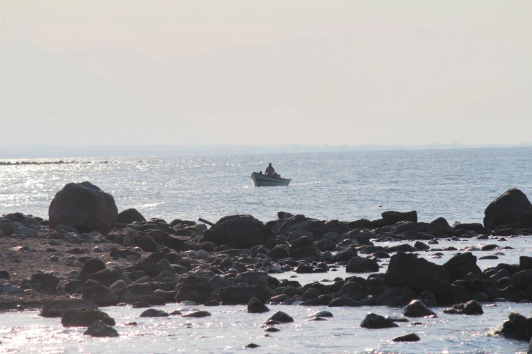 ساحل سیسنگان