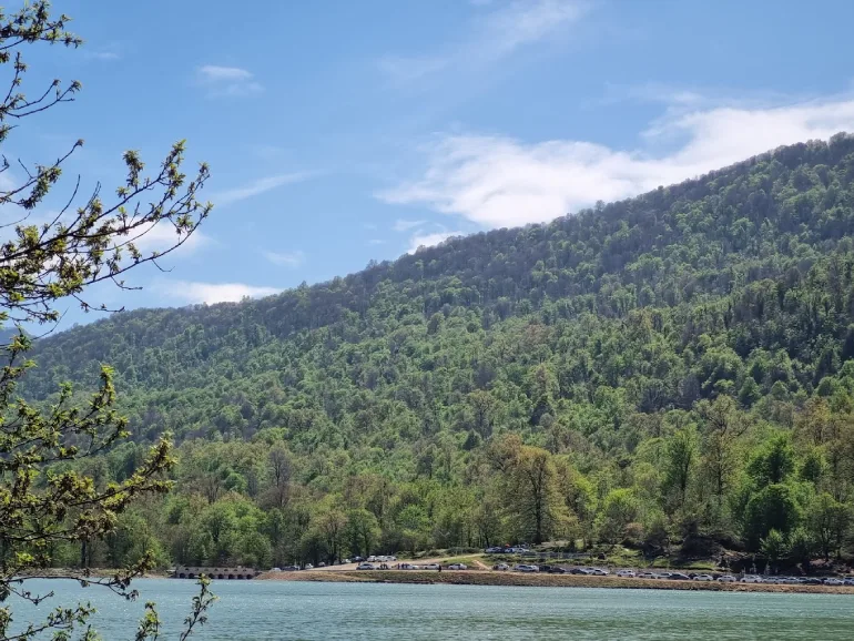 دریاچه سد آویدر