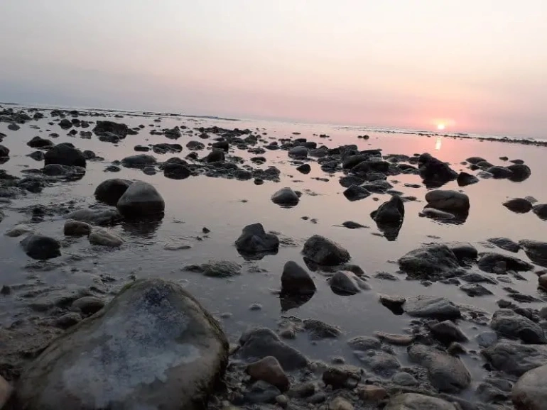 ساحل سیسنگان