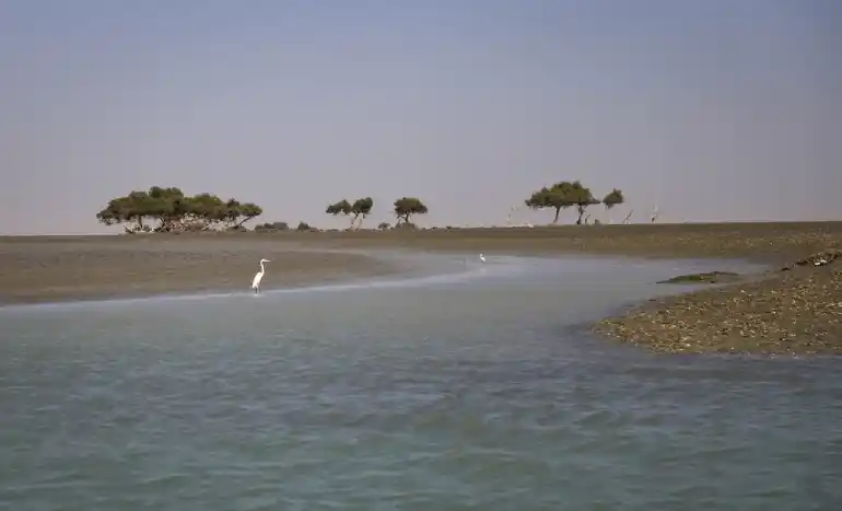 جاهای دیدنی بندر جاسک