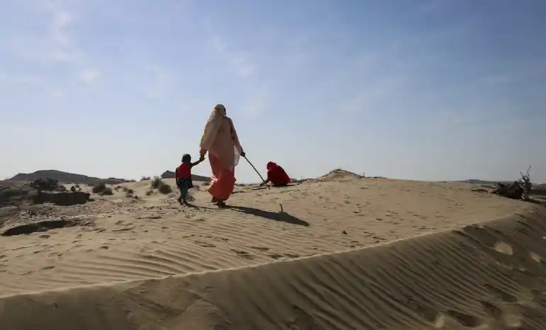 شهرستان جاسک