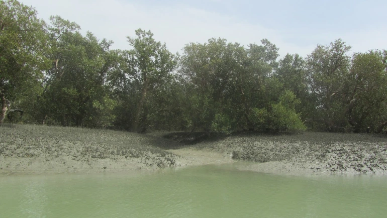 منطقه حفاظت‌شده گابریک و جنگل‌های حرا