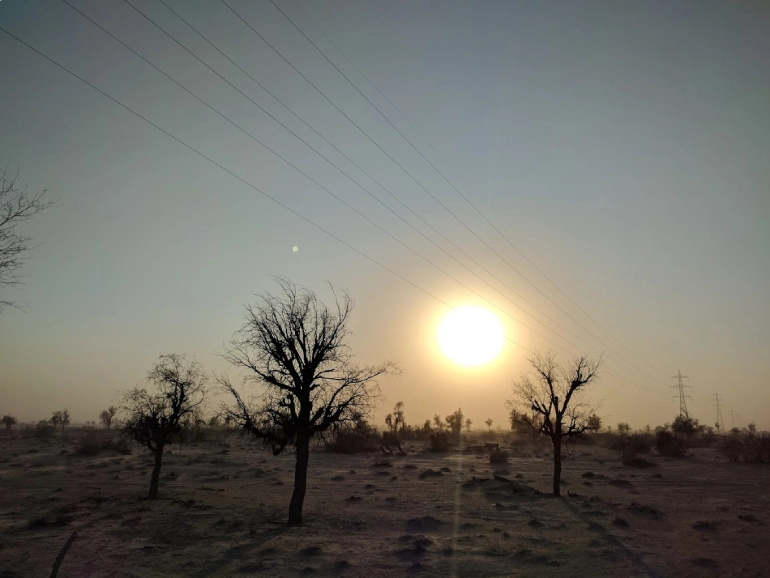 منطقه حفاظت‌شده گابریک و جنگل‌های حرا