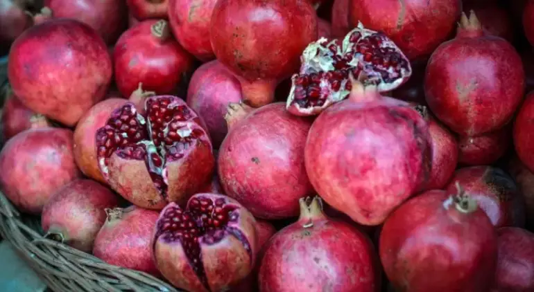 فرهنگ مردم تفت