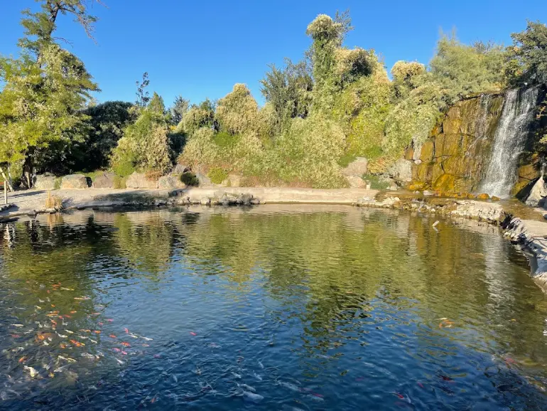 باغ مشهد Google maps 4