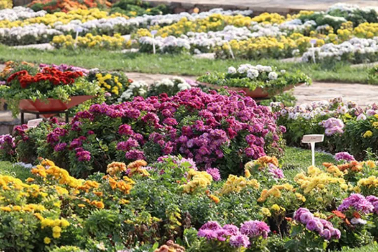 باغ گیاهشناسی مشهد