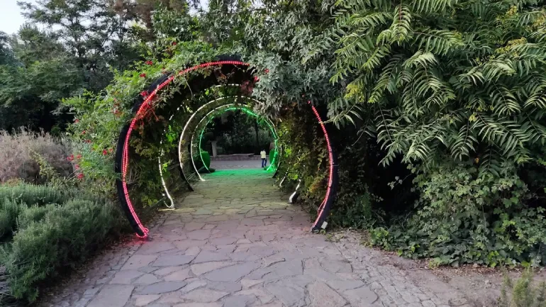 گیاهان باغ مشهد