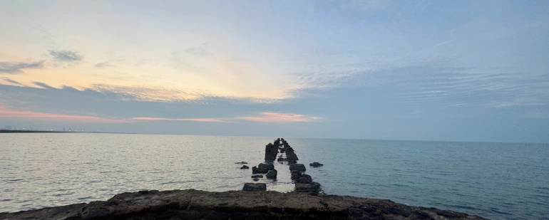 جزیره شیف بوشهر