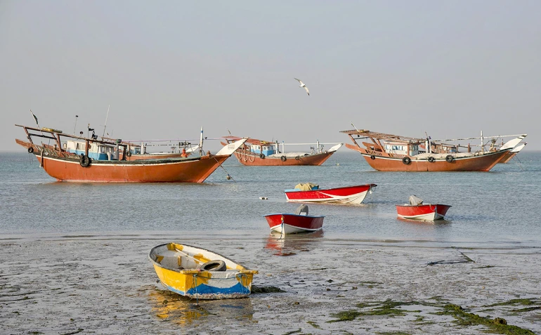 جزیره شیف بوشهر