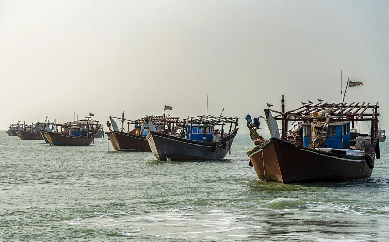 جزیره شیف بوشهر