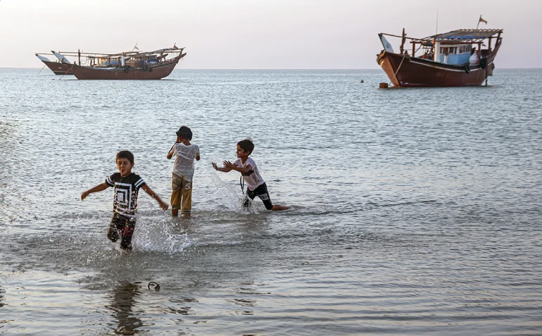 جزیره شیف بوشهر