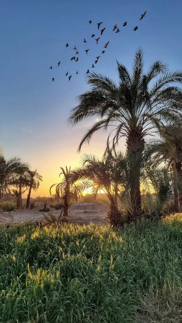 روستای اصفهک خراسان جنوبی