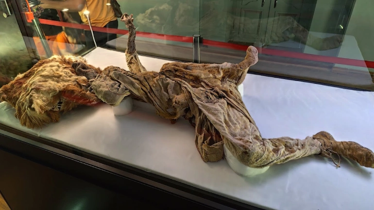 موزه مردان نمکی زنجان