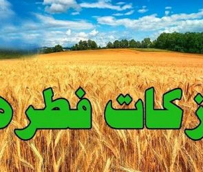 برای نخستین بار در کشور؛ اعلام مبلغ فطریه به تفکیک هر استان/ عکس